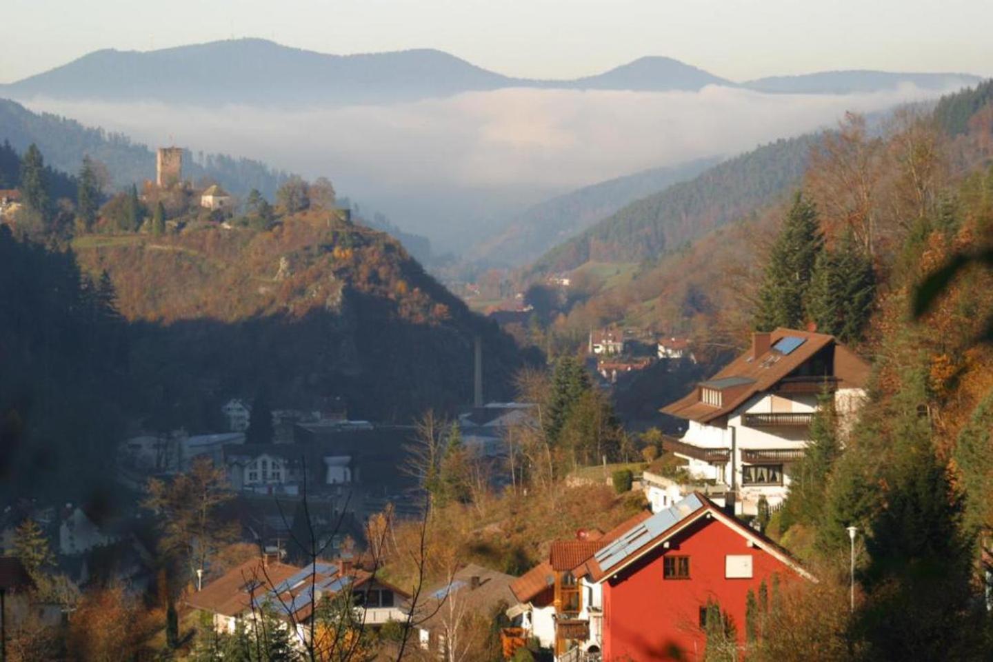 Ferienwohnung Am Rubersbach Hornberg Luaran gambar